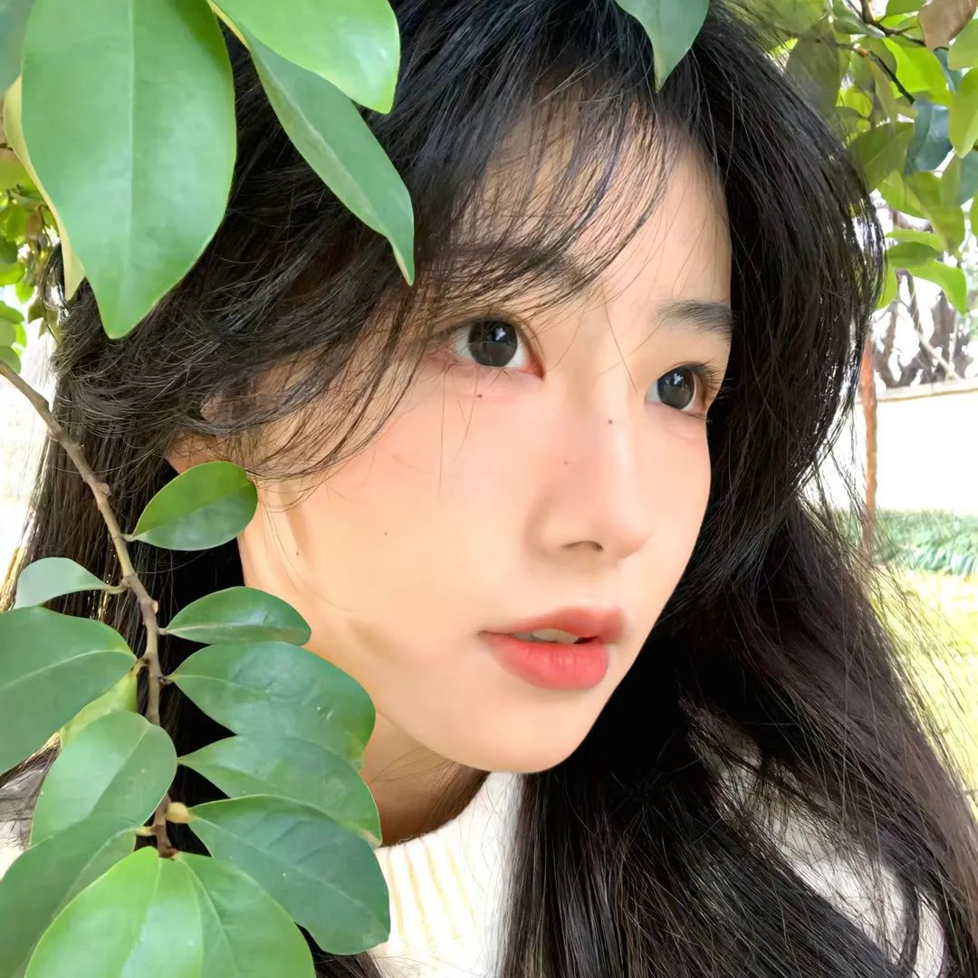 智探塔利班