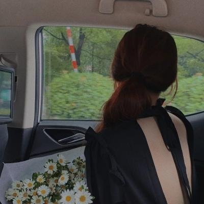 几度菊花香